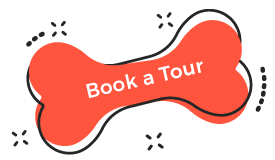 https://lilosdoghotelsdaycare.com/wp-content/uploads/2019/08/book_tour.png